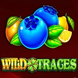 Play Wild Traces slot by Amusnet Interactive on elabetscasino.com